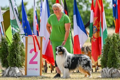 Nitra Summer cup 2022