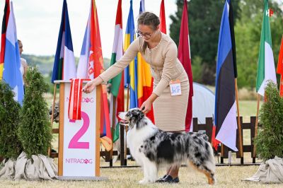 Nitra Summer cup 2022