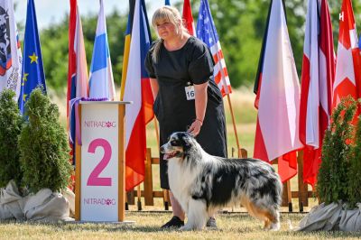 Nitra Summer cup 2022