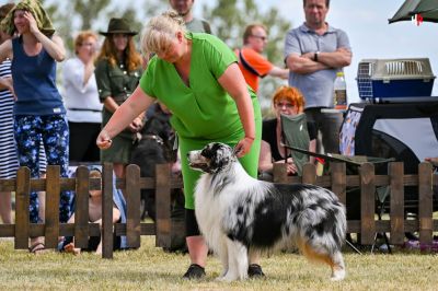 Nitra Summer cup 2022