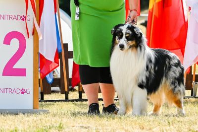 Nitra Summer cup 2022