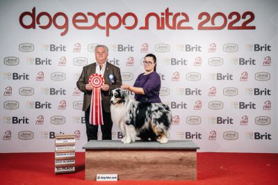 Nitra Summer cup 2022