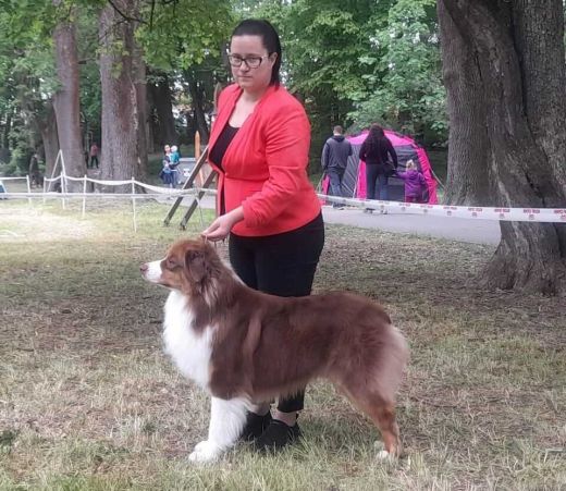 Dog Expo Nitra 2023